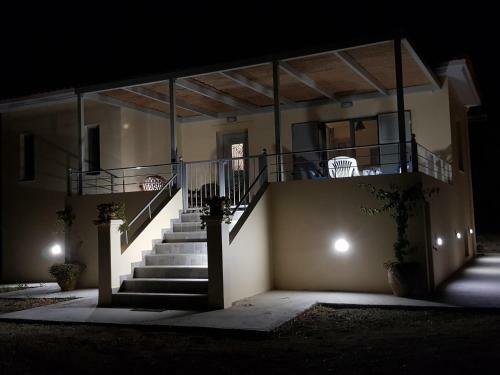 XI House