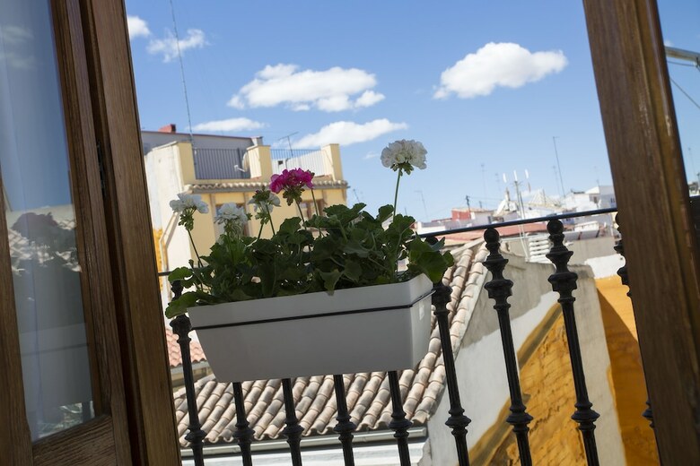 Apartamento Singularstays Bolseria