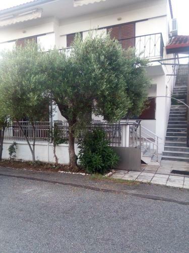 Apartamento ????????????? ??? ??????