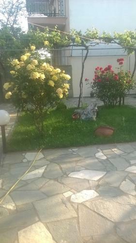 Hostal Villa Eleon 1