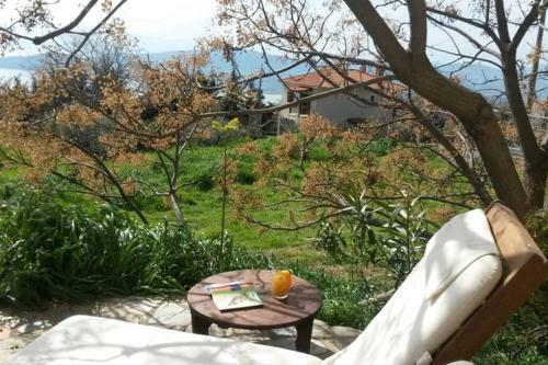 Artistic House: View - Pingpong - Billard