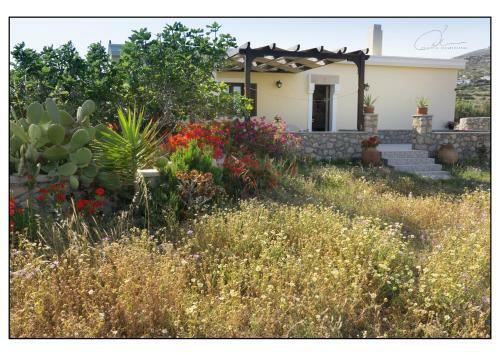 Sofi ?raditional Home