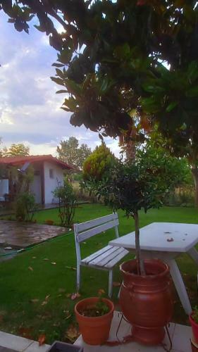 Villas 3 Platans