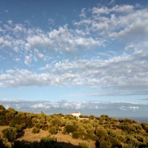 Villa Iremia