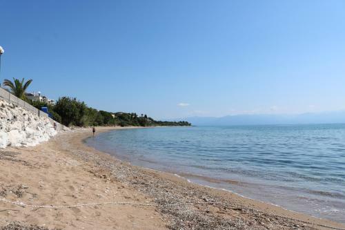 5 Meters From The Beach