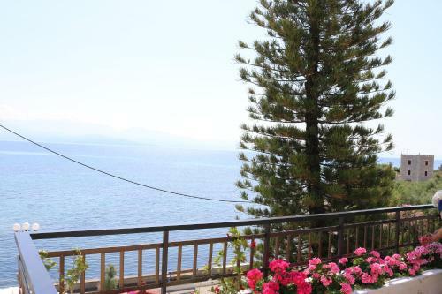 5 Meters From The Beach