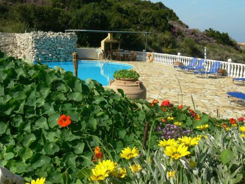 Angela Apartments Pool Gardens And Sea Views