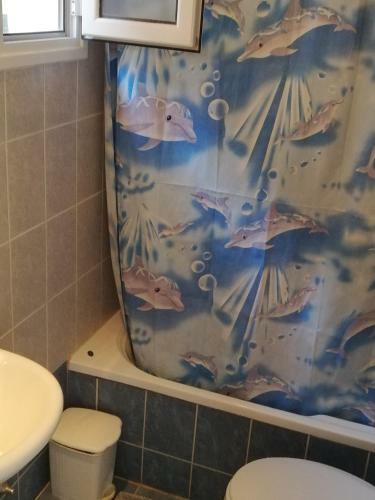 Apartamento Anestis Studio