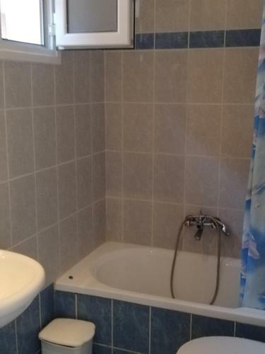 Apartamento Anestis Studio