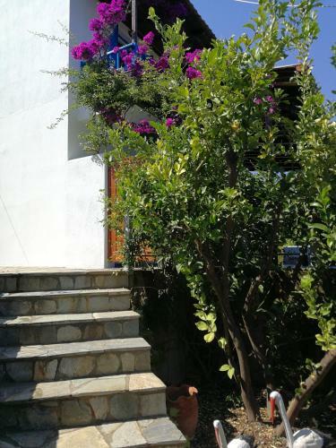 Apartamento Christou Homes