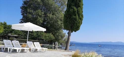 Mermaid Beachfront Villa