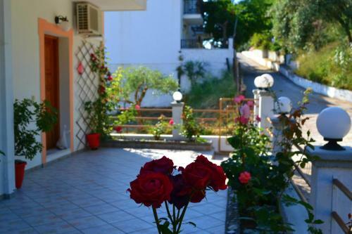 Apartamento Studio Anna