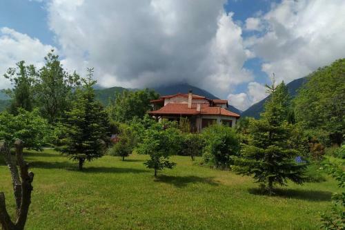 Villa Elegance In The Nature