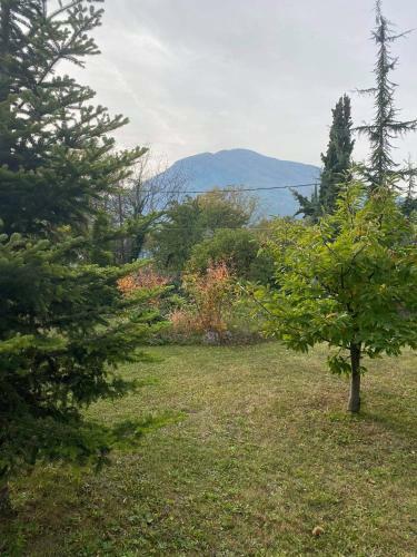 Villa Elegance In The Nature