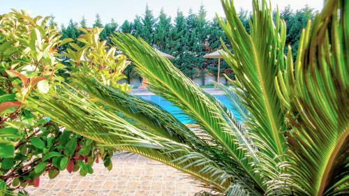 Villa Lefki