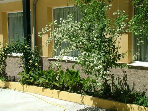 Hotel R�o Piscina