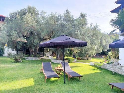 Villa The Cosy Olive