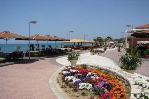 Villa Despina Kourouta