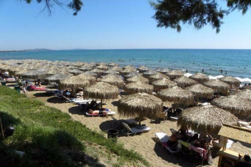 Villa Despina Kourouta