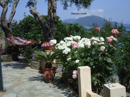 Agroturismo Studio Nausica... A Sense Of Paradise!