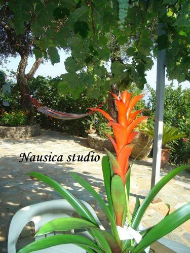 Agroturismo Studio Nausica... A Sense Of Paradise!