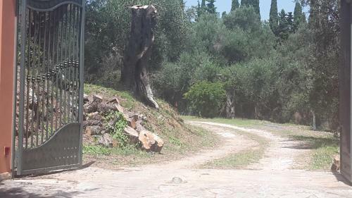 Apartamento Villa Prima