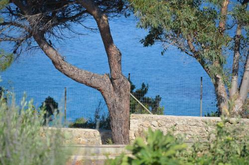 Ploes Luxury Cottages