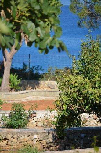 Ploes Luxury Cottages