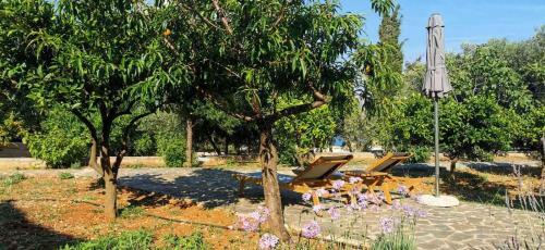 Ploes Luxury Cottages