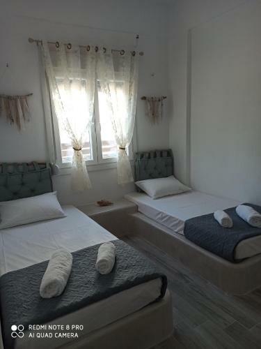 Cactus Home