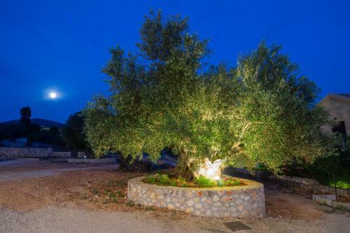 Apartamento Rose Maisonette