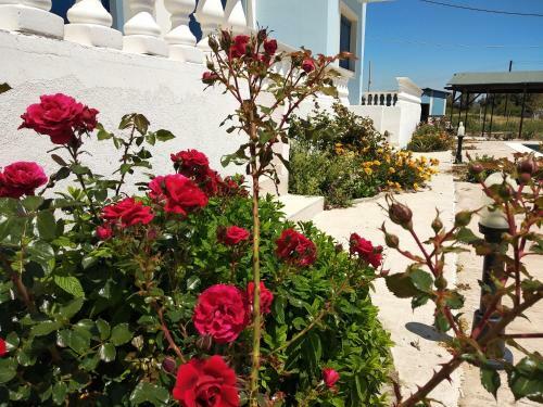Rita Mare Seafront Villas