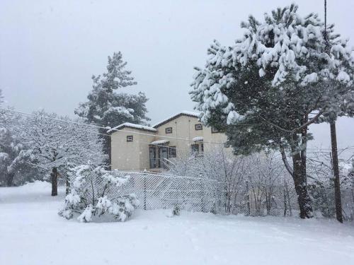 Apartamento Despina Studios Kastanies Raxes Ikaria # 7