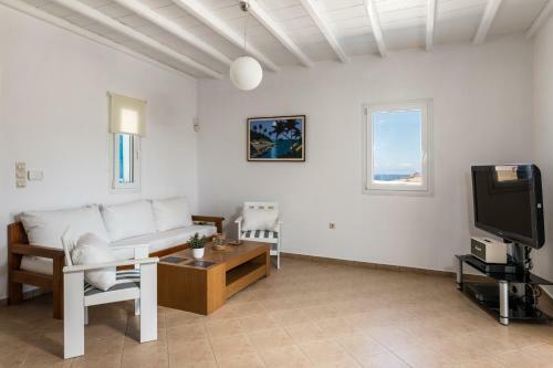 Villa Wild View Mykonos