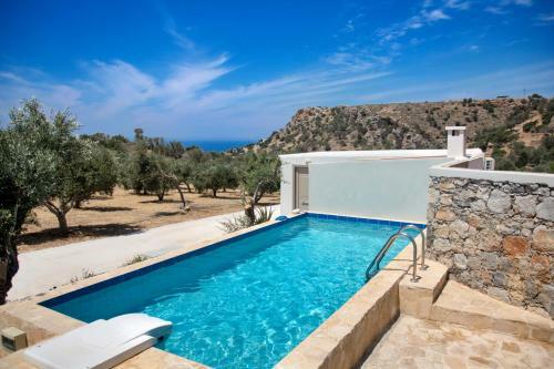 Triopetra Green Dream