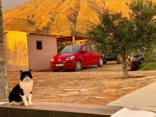 Hostal Villa Thalassa