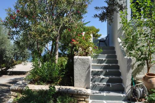 Into The Blue Villa