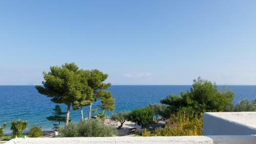 Into The Blue Villa