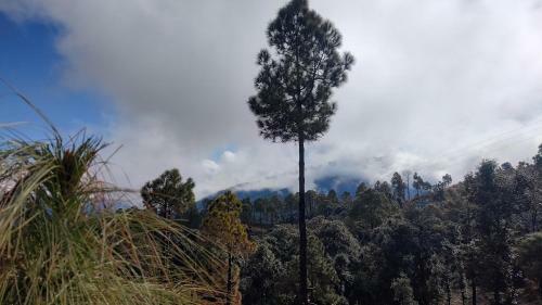 Saundkoti Hills Homestay, New Tehri Uk