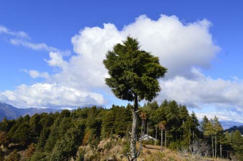 Saundkoti Hills Homestay, New Tehri Uk