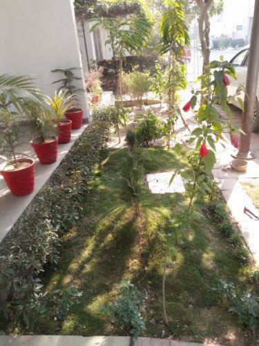 Serene Villa Homestay - Greater Noida