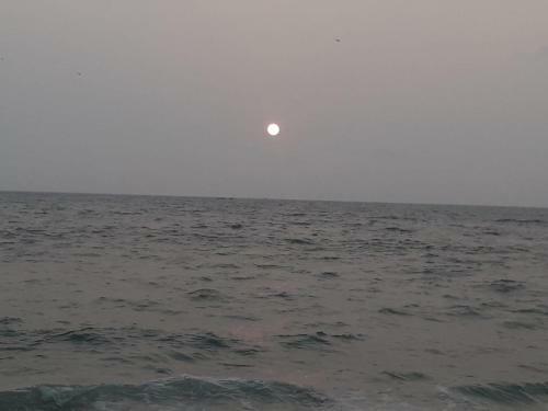 Bed & Breakfast Kerala Cottage-marari Beach House