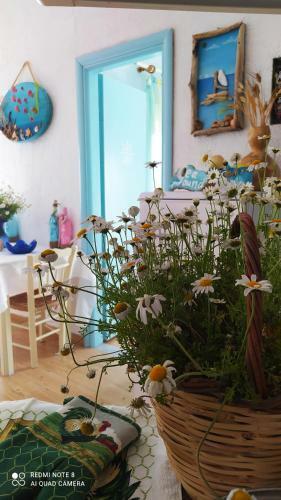 Apartamento Socrates Sea View