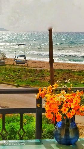 Apartamento Socrates Sea View
