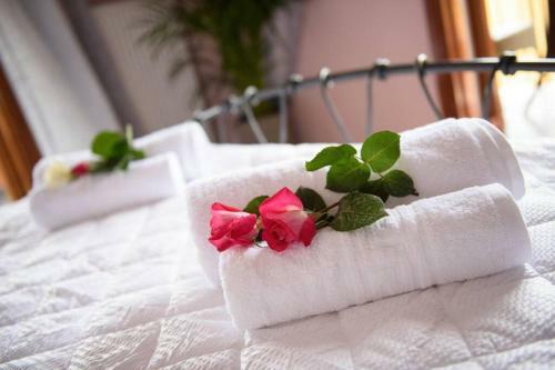 Seaview Cottage - Calmare