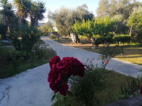Hostal Ktima Theofilos - Frideriki