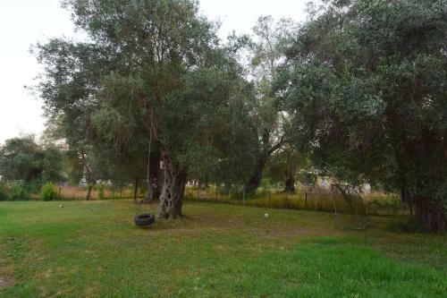 Hostal Ktima Theofilos - Frideriki