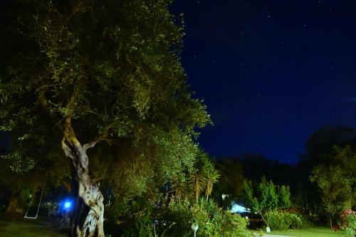 Hostal Ktima Theofilos - Frideriki