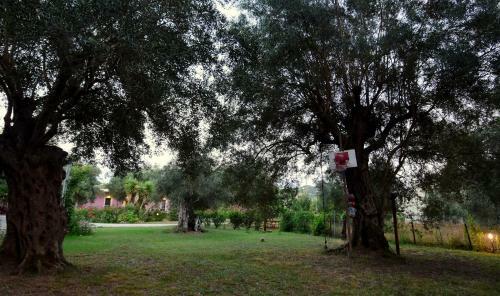 Hostal Ktima Theofilos - Frideriki