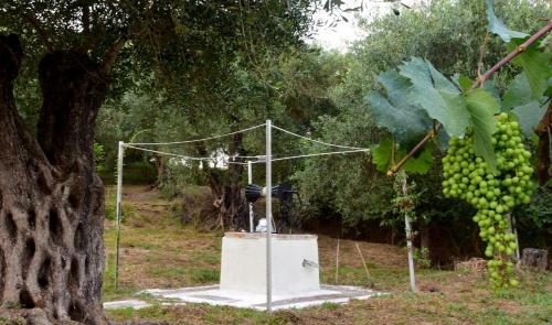 Hostal Ktima Theofilos - Frideriki
